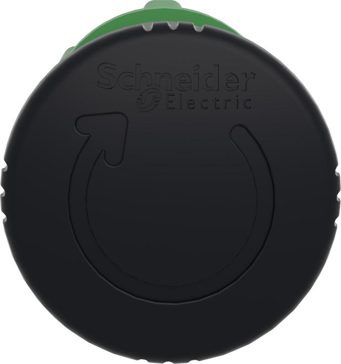 Image du produit Schneider Electric Tête de bouton-poussoir ZB5AS52