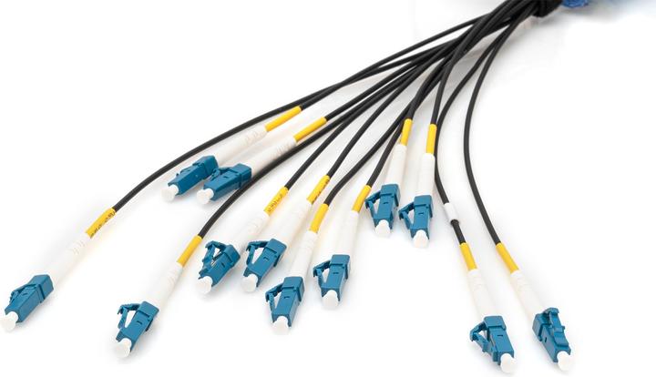 Produktbild Digitus Vorkonfektionierte Glasfaser Universal Breakout Kabel, Multimode OS2, 12 Fasern, LC/UPC - LC/UPC (LSOH, 50 m)