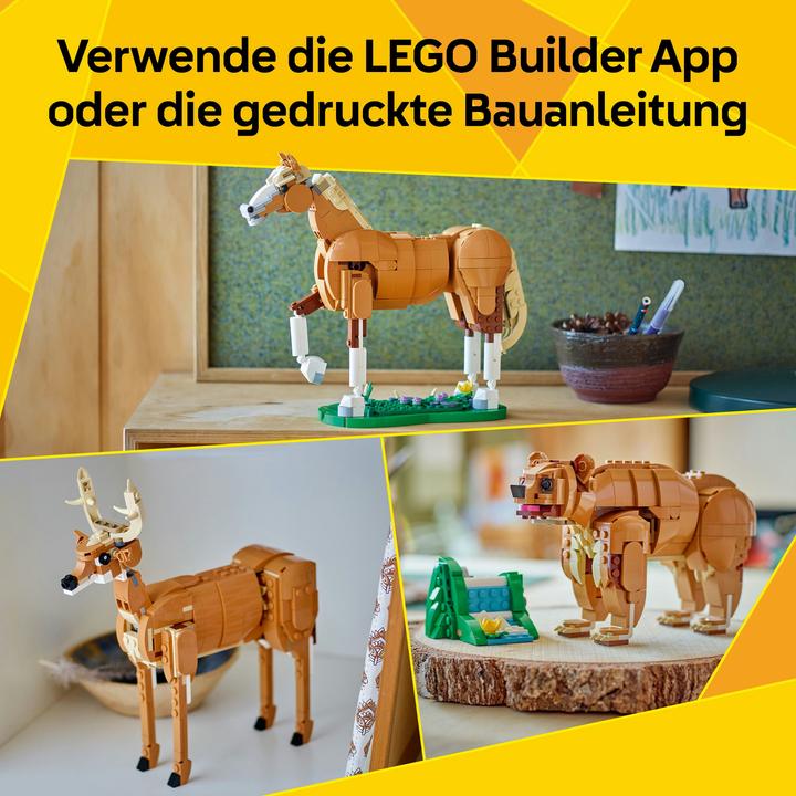 Immagine prodotto LEGO Prächtiges Ross (31166, LEGO Creator Expert)