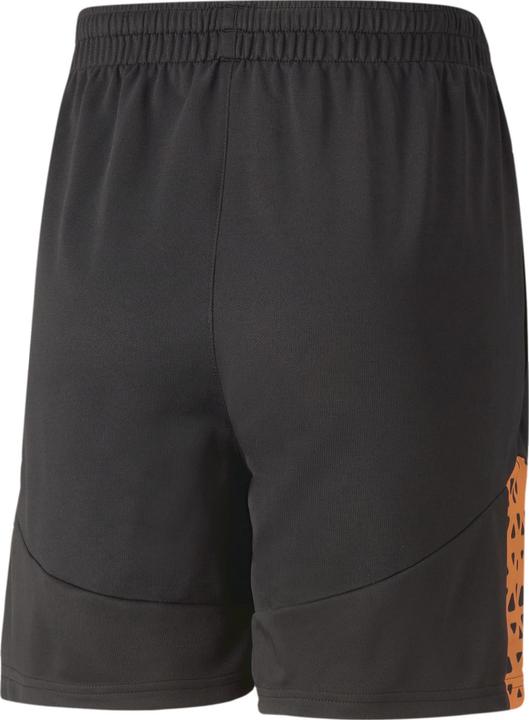 Actual product image Puma individualCUP Training Shorts Jr (140)