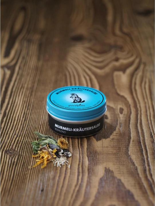 Produktbild Puralpina Murmeli-Kräutersalbe kühlend (1 x, 50 ml, 70 g)