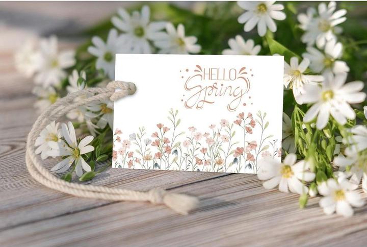 Produktbild Ursus Handlettering Karten Boho 48ST sortiert (300 g/m², 1 x)