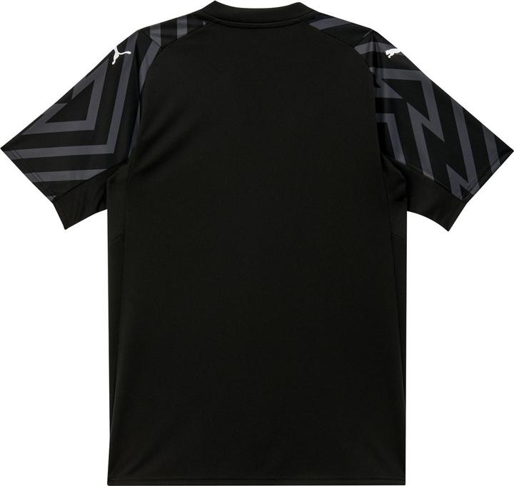 Produktbild Puma SFV GK Jersey SS Replica Jr (116)