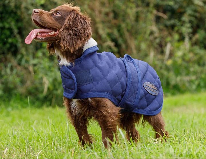 Actual product image Weatherbeeta Comfitec Deluxe Diamond (65, Dog coat)