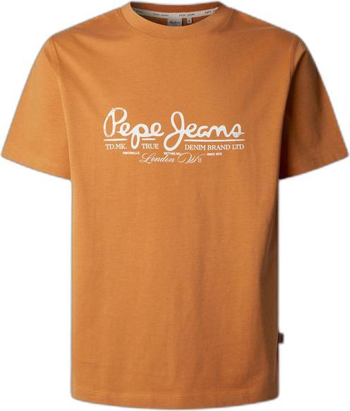 SUNDOWN ORANGE