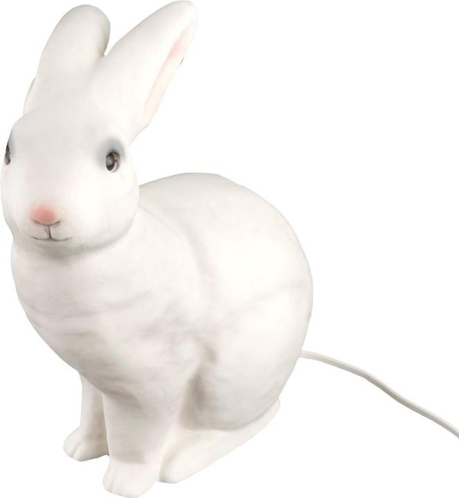 Egmont Hase