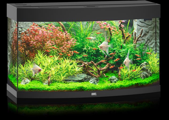Immagine prodotto Juwel Aquarium Acquario Vision 180 92x41x55cm nero (180 l)