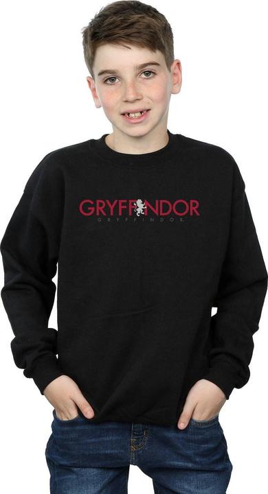 Image du produit - Sweat GRYFFINDOR TEXT - Garçon (152, 158)