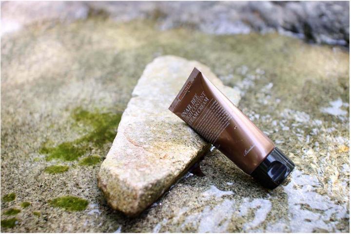 Actual product image Benton Crème Snail Bee High Content Stream Cream 50 g (24h cream)