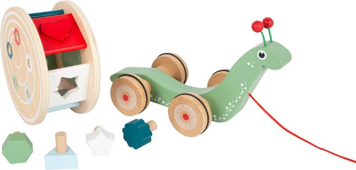Actual product image small foot snail