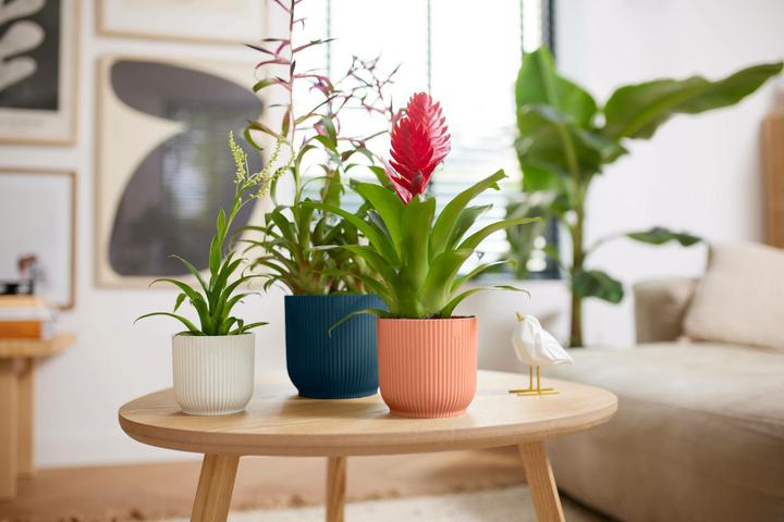 Actual product image Elho Vibes Fold (22 cm)