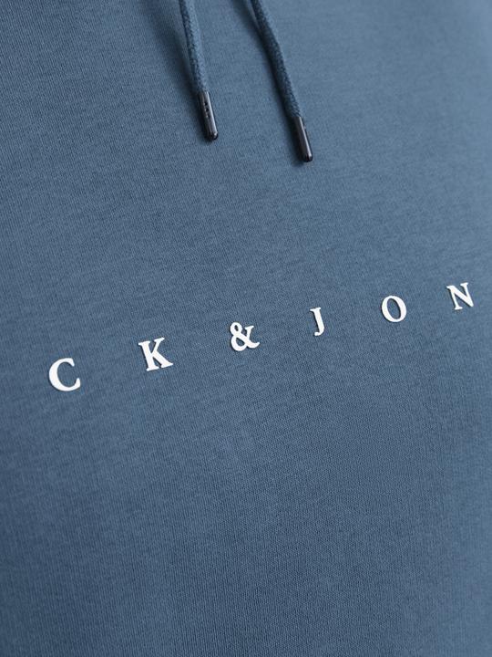 Immagine prodotto Jack & Jones Jjestar Jj Sweat Hood Noos Pls (6XL)