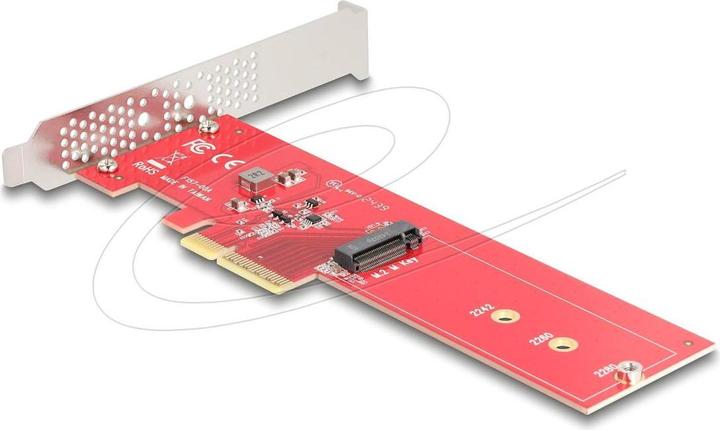 Actual product image Delock PCI Express 5.0 x4 card