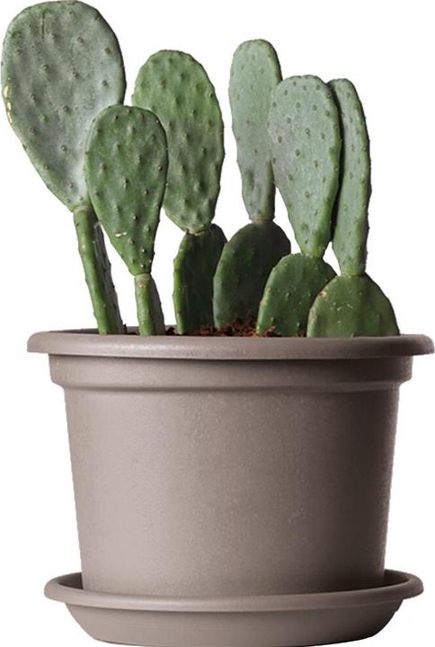 Produktbild Euro3plast Pflanzkübel (20 cm)