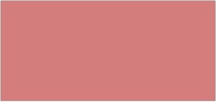 Actual product image Yves Saint Laurent Powder Blush Shade 06 (06)