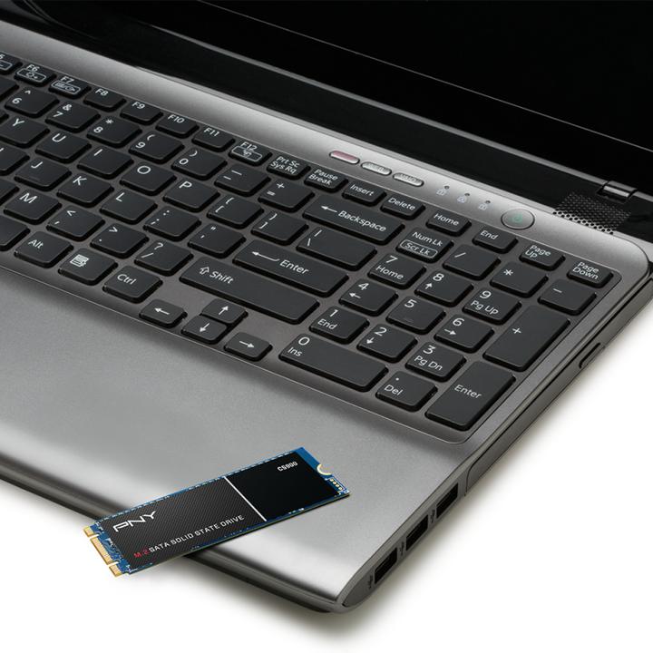 Actual product image PNY CS901 (250 GB, M.2 2280)