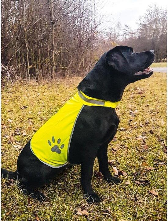Image du produit Korntex Gilet de sécurité pour chiens (L)