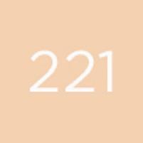Actual product image Diego dalla Palma Geisha Lifting Fond de Teint No 221 (221 Beige)