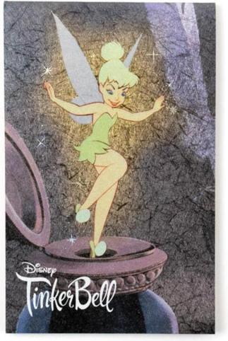 Actual product image Disney Kamiaya Oil Blotting Paper Classic Tinkerbell