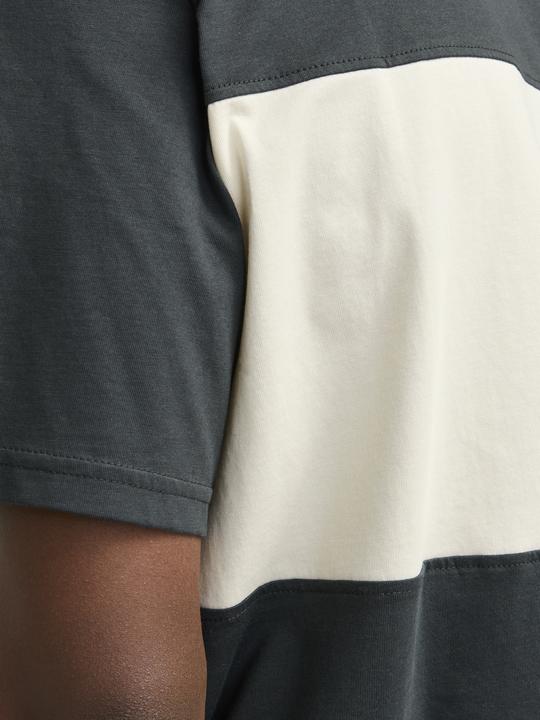Produktbild Jack & Jones Jorvesterbro Block Tee Ss Crew Styd Aw24 (S)