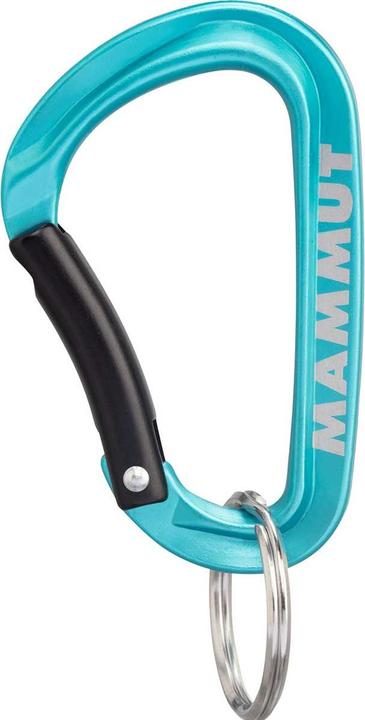Actual product image Mammut Mini Carabiner Classic Keylock S