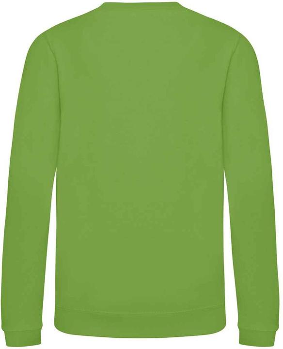 Actual product image Awdis Just Hoods Childrens/Kids Sweatshirt (104)
