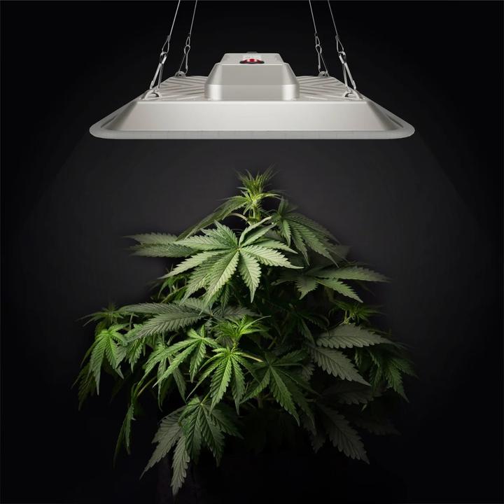 Produktbild Greenception Gc-Pure (LED, 230 V)