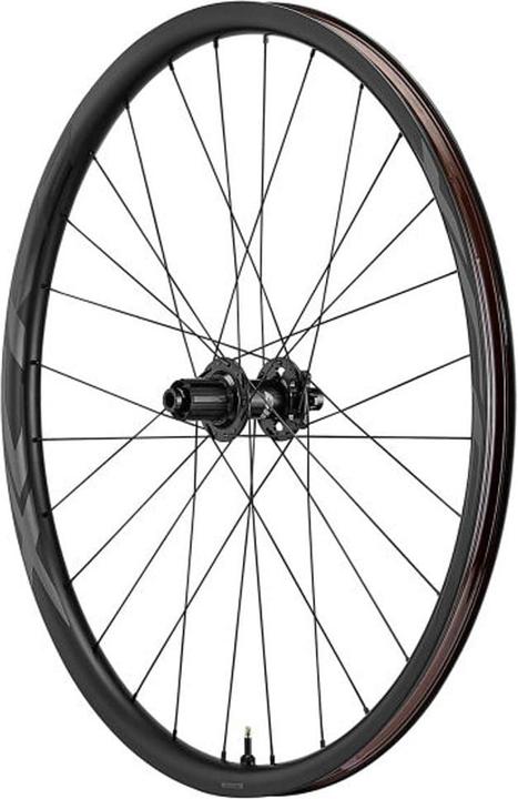 Giant XCR 2 MTB Carbon 29 - Rear wheel (Rear wheel, 29")