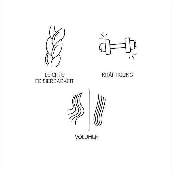 Produktbild System Professional Shampoo V1 500ml (500 ml, Flüssiges Shampoo)