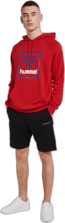 Actual product image hummel ISAM 2.0 HOODIE (XL)