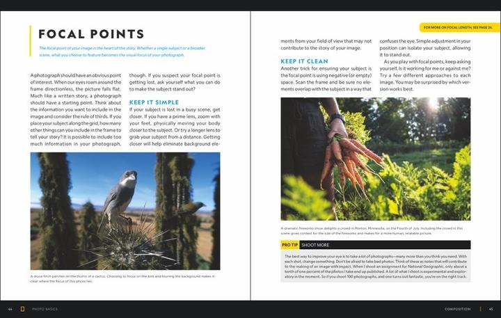 Produktbild National Geographic Foto Basics (Deutsch, Joel Sartore, 2020)