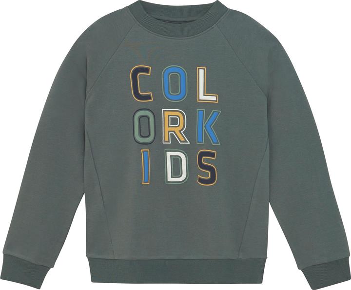 Produktbild Color Kids Logo Print (116)