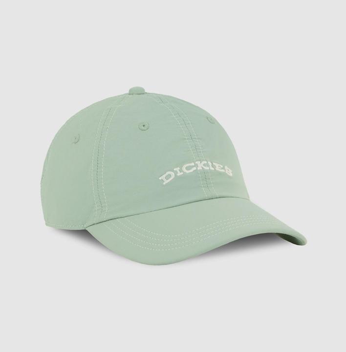 Dickies Wilsall Cap (One Size)