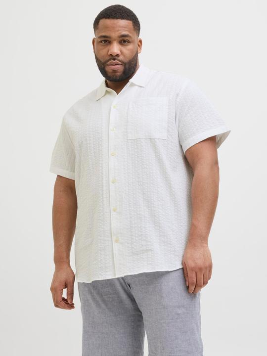 Immagine prodotto Jack & Jones Plus Size Relaxed Fit Hemd Hemd (4XL)