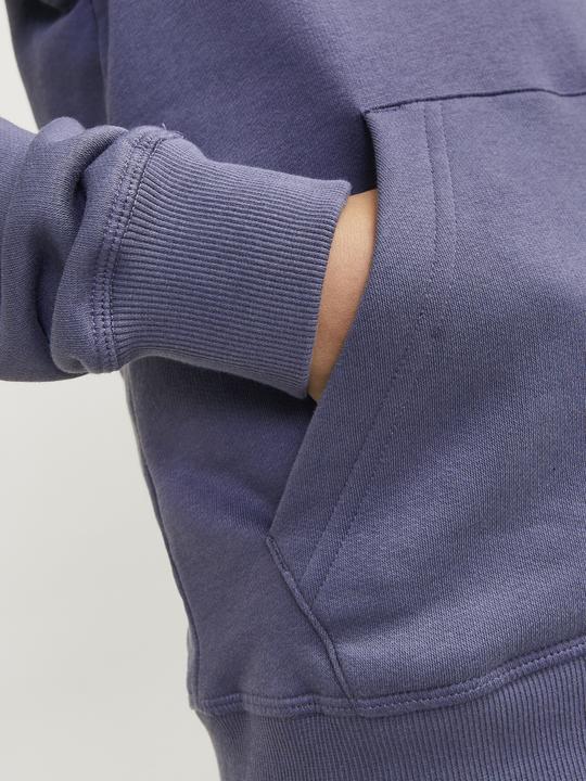 Produktbild Jack & Jones Jorfrederiksberg Box Sweat Hood Sn Jnr (140)