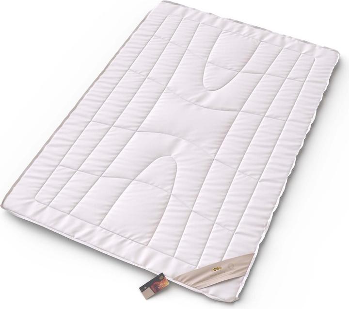 Image du produit Erzstef Duvet de chameau de Dubaï (1550 g, 200 x 210 cm)