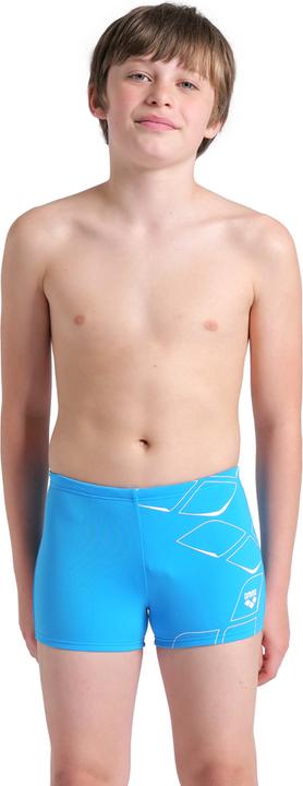 Arena B Losange Graphic Swim Short