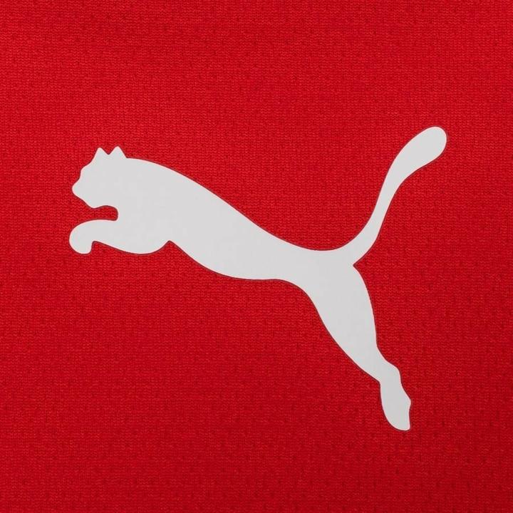 Image du produit Puma teamRISE Jersey-704932 (L)
