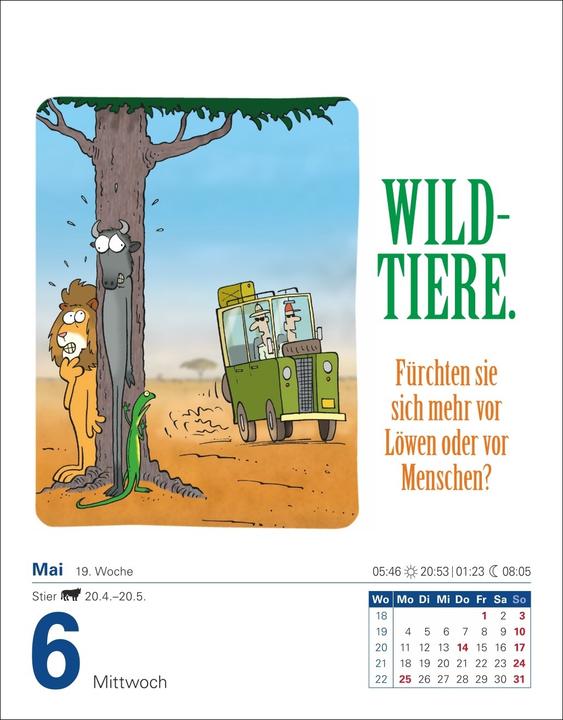 Produktbild Harenberg Was so nicht im Lexikon steht Tagesabreisskalender 2026 - Kuriositäten, Histörchen und merkwürdige (Deutsch)