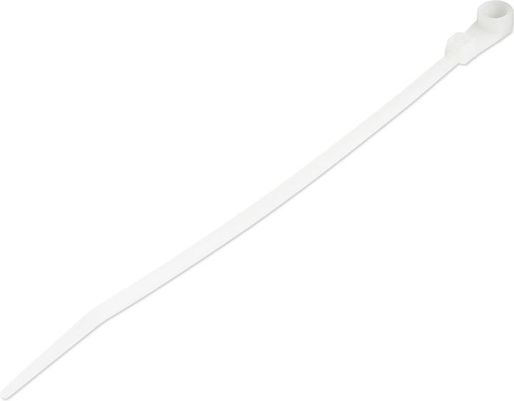 Image du produit StarTech 15cm(6") Cable Ties with Mounting Hole, 3mm(1/8") wide, 40mm(1-1/2") Bundle Dia. (Serre-câbles en plastique, 172 mm, 100 pcs)