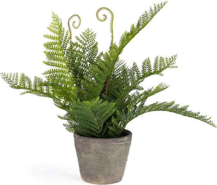 Actual product image Kave Home Filicopsida (35 cm)