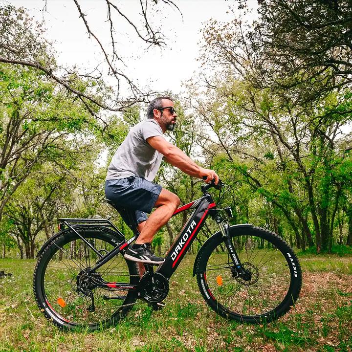 Immagine prodotto Urbanbiker Dakota FE | Mountainbike E-Bike | 200KM Reichweite (46.50 cm)