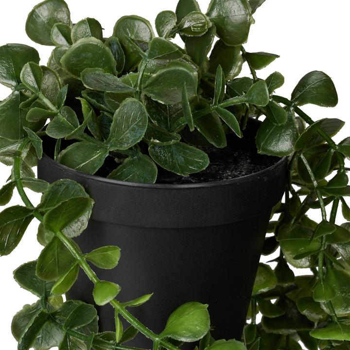 Actual product image Relaxdays 2x faux hanging plants (80 cm)