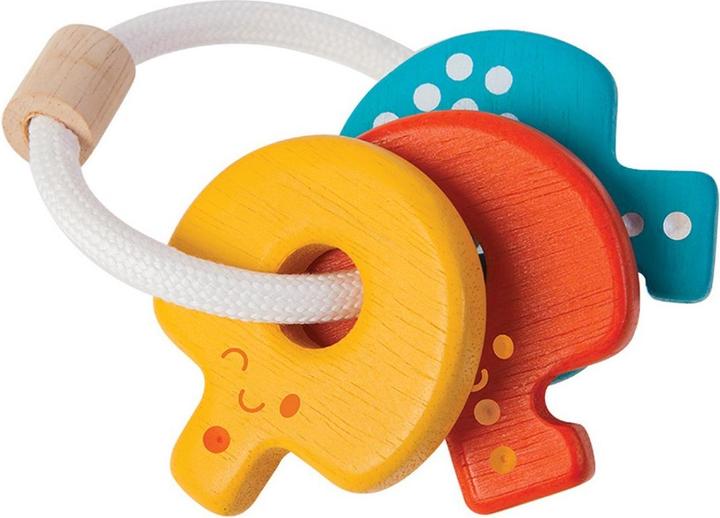 Actual product image Plantoys Baby key