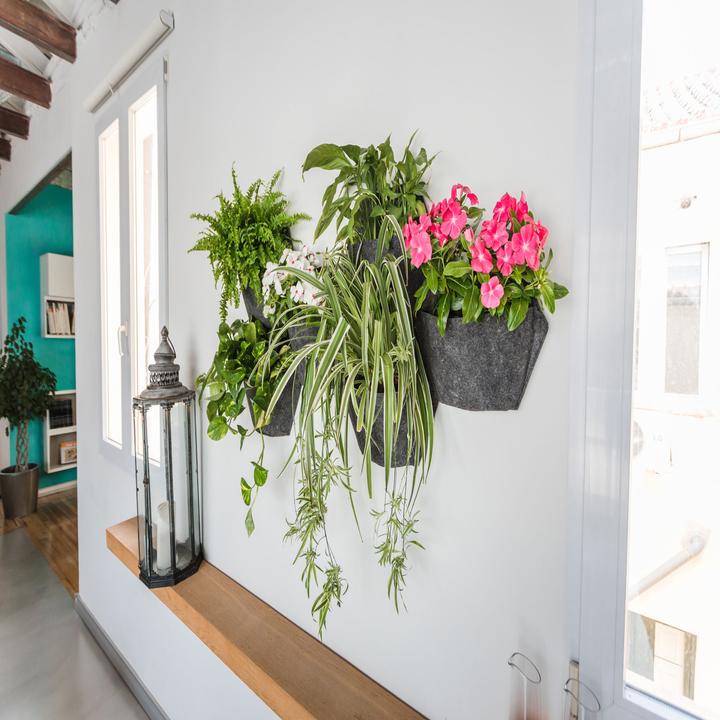 Actual product image CitySens 3 Pack Wall Planters white planter gray textile cover (10 cm)
