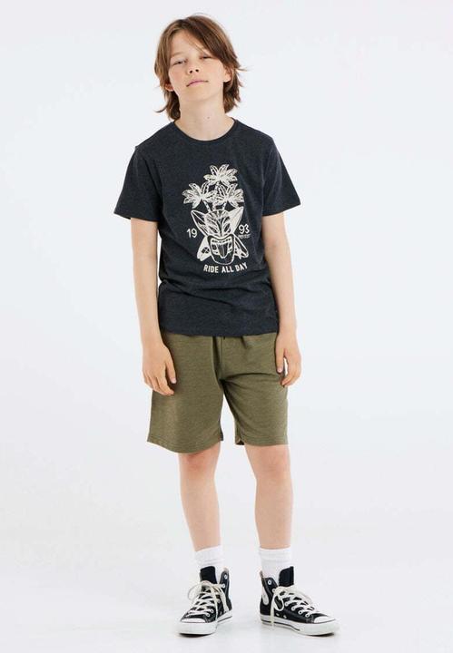 Actual product image Protest Jogging Shorts Prtrolan Jr (152)