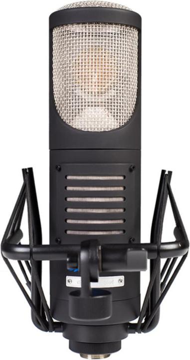 Image du produit sE Electronics Rnt