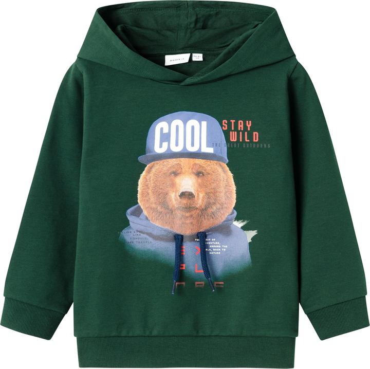 Name it Regular Fit Hoodie (92)