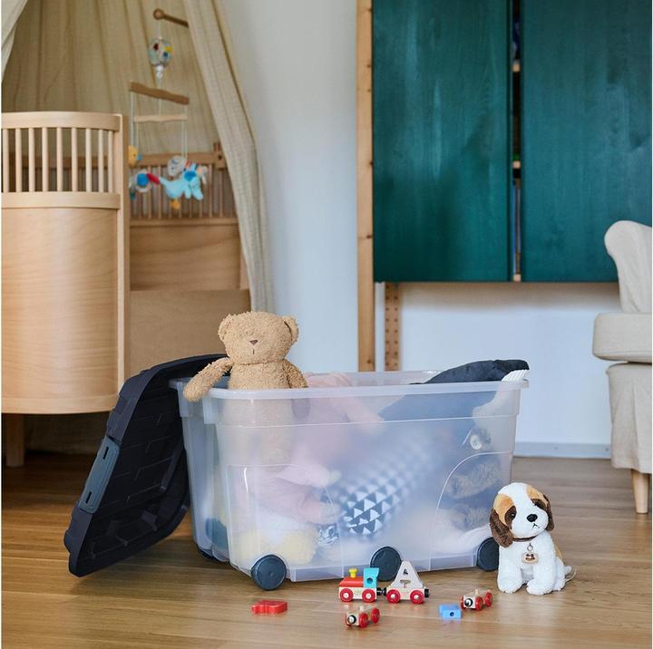 Image du produit Rotho Scooter (59.5 x 40 x 37 cm, 57 l)