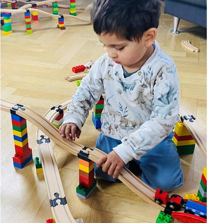 Actual product image Toy2 Allround Large (21025)
